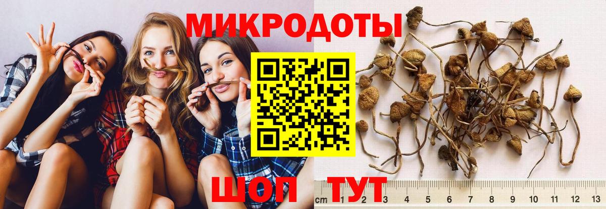 Галлюциногенные грибы прущие грибы  Вход с VPN  Лысьва 