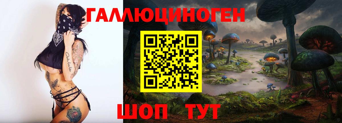 Псилоцибиновые грибы Psilocybe Лысьва